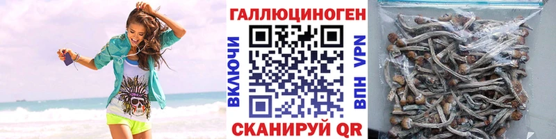Псилоцибиновые грибы мицелий  это телеграм  Новокузнецк  ОМГ ОМГ ссылка 